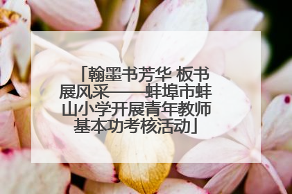 翰墨书芳华 板书展风采——蚌埠市蚌山小学开展青年教师基本功考核活动