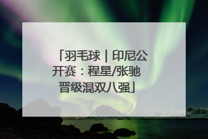 羽毛球｜印尼公开赛：程星/张驰晋级混双八强