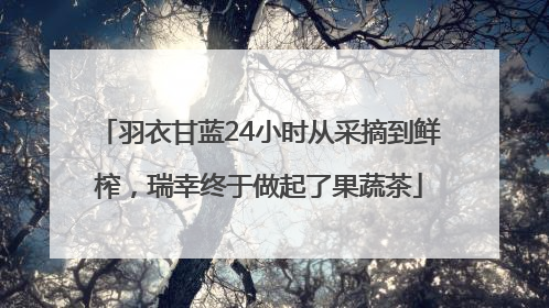 羽衣甘蓝24小时从采摘到鲜榨，瑞幸终于做起了果蔬茶