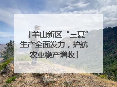 羊山新区“三夏”生产全面发力，护航农业稳产增收
