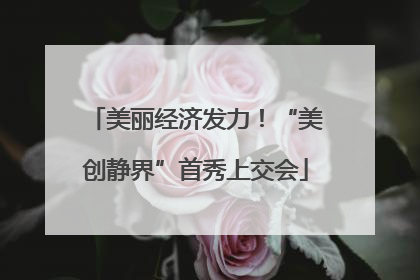 美丽经济发力！“美创静界”首秀上交会