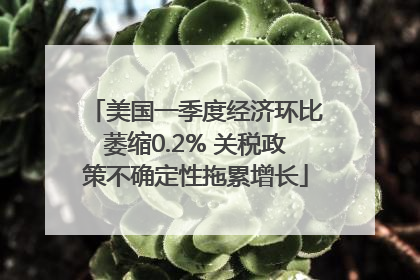 美国一季度经济环比萎缩0.2% 关税政策不确定性拖累增长