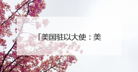 美国驻以大使：美国不再“全力”支持巴勒斯坦建国