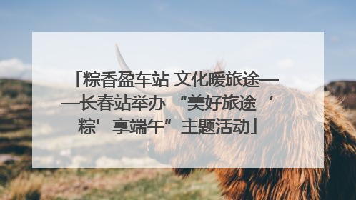 粽香盈车站 文化暖旅途——长春站举办 “美好旅途‘粽’享端午”主题活动