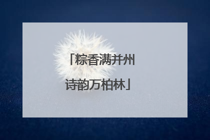 粽香满并州 诗韵万柏林