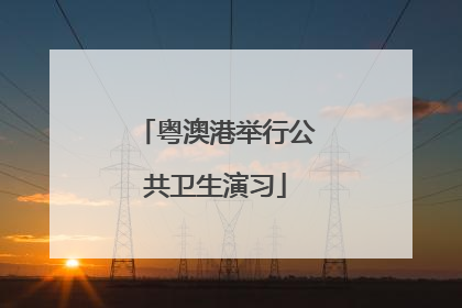 粤澳港举行公共卫生演习