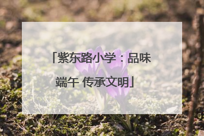 紫东路小学：品味端午 传承文明