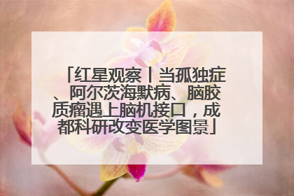 红星观察丨当孤独症、阿尔茨海默病、脑胶质瘤遇上脑机接口，成都科研改变医学图景