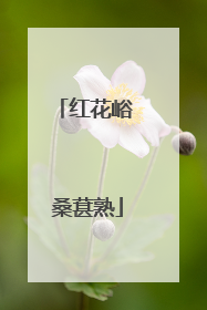 红花峪 桑葚熟