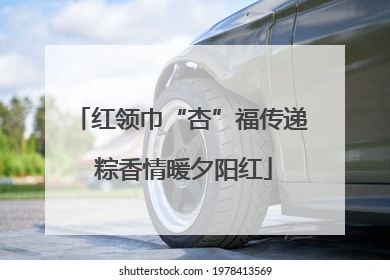 红领巾“杏”福传递 粽香情暖夕阳红