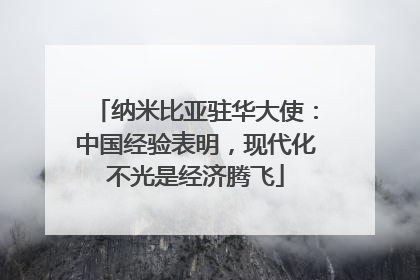 纳米比亚驻华大使：中国经验表明，现代化不光是经济腾飞
