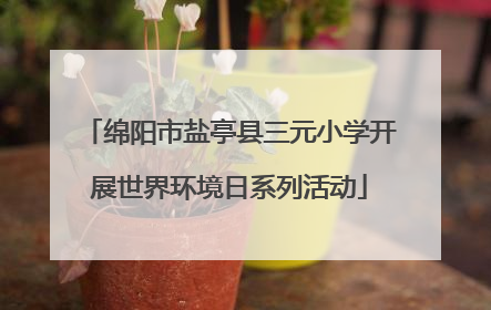 绵阳市盐亭县三元小学开展世界环境日系列活动
