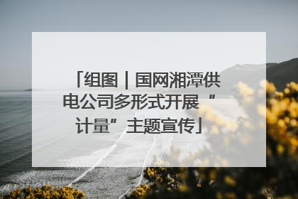 组图｜国网湘潭供电公司多形式开展“计量”主题宣传