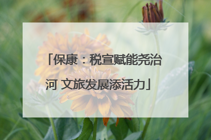 保康：税宣赋能尧治河 文旅发展添活力