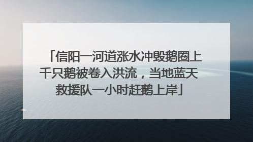 信阳一河道涨水冲毁鹅圈上千只鹅被卷入洪流，当地蓝天救援队一小时赶鹅上岸