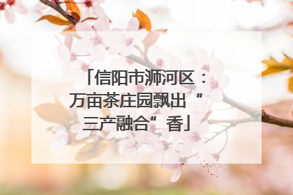 信阳市浉河区：万亩茶庄园飘出“三产融合”香