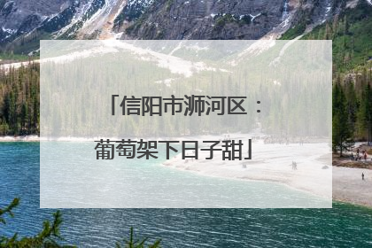 信阳市浉河区：葡萄架下日子甜