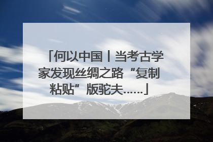 何以中国丨当考古学家发现丝绸之路“复制粘贴”版驼夫……