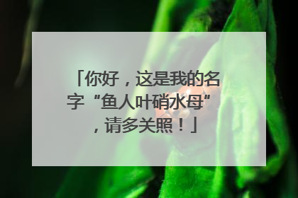 你好，这是我的名字“鱼人叶硝水母”，请多关照！