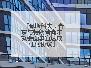 佩斯科夫：普京与特朗普尚未就会面事宜达成任何协议