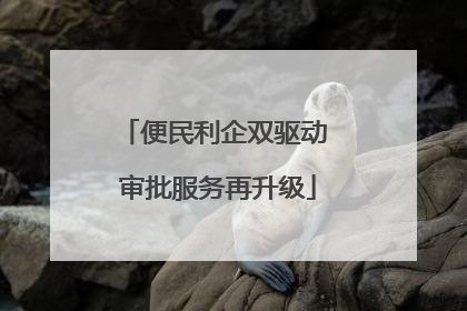 便民利企双驱动 审批服务再升级