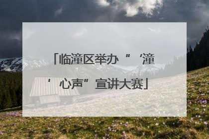 临潼区举办“‘潼’心声”宣讲大赛