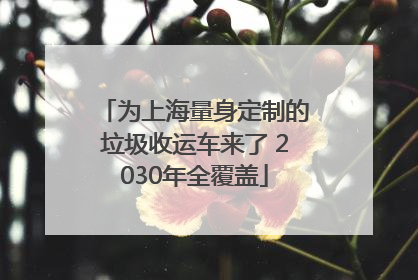 为上海量身定制的垃圾收运车来了 2030年全覆盖