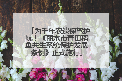 为千年农遗保驾护航！《丽水市青田稻鱼共生系统保护发展条例》正式施行