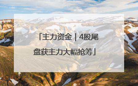 主力资金｜4股尾盘获主力大幅抢筹