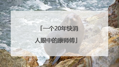一个20年快消人眼中的康师傅