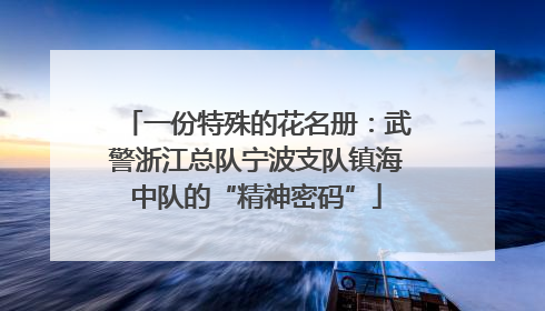 一份特殊的花名册：武警浙江总队宁波支队镇海中队的“精神密码”