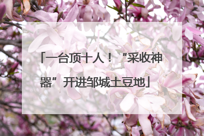一台顶十人！“采收神器”开进邹城土豆地