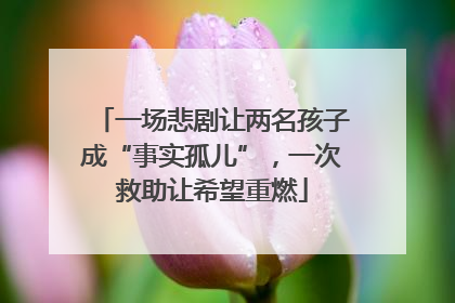 一场悲剧让两名孩子成“事实孤儿”，一次救助让希望重燃