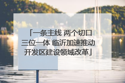 一条主线 两个切口 三位一体 临沂加速推动开发区建设领域改革