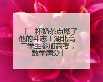 一杯奶茶点燃了他的斗志！湖北高二学生参加高考，数学满分