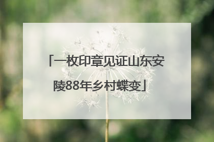 一枚印章见证山东安陵88年乡村蝶变