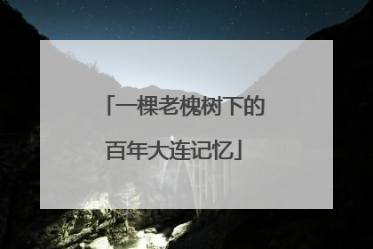 一棵老槐树下的百年大连记忆