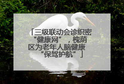 三级联动会诊织密 “健康网”，槐荫区为老年人脑健康 “保驾护航”