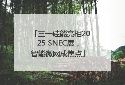 三一硅能亮相2025 SNEC展，智能微网成焦点