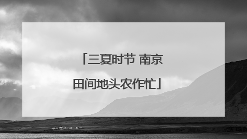 三夏时节 南京田间地头农作忙
