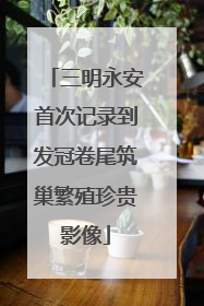 三明永安首次记录到发冠卷尾筑巢繁殖珍贵影像
