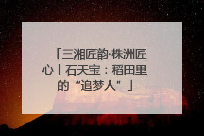 三湘匠韵·株洲匠心丨石天宝：稻田里的“追梦人”