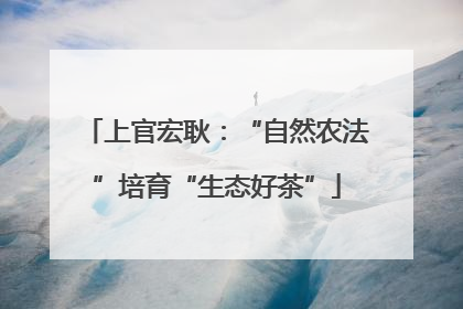 上官宏耿：“自然农法”培育“生态好茶”