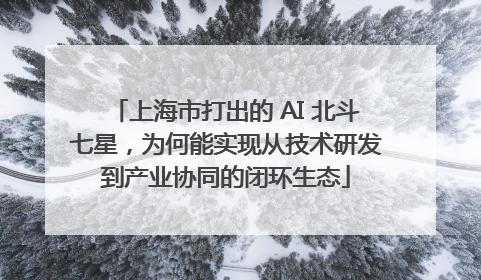 上海市打出的 AI 北斗七星，为何能实现从技术研发到产业协同的闭环生态