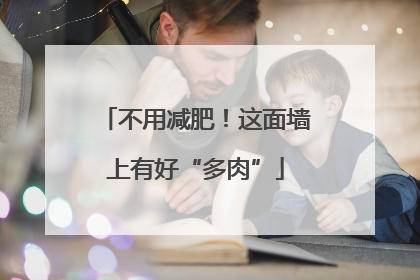 不用减肥！这面墙上有好“多肉”
