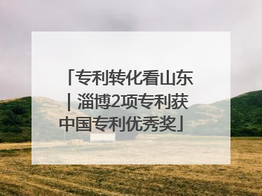 专利转化看山东｜淄博2项专利获中国专利优秀奖