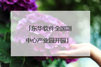 东华软件全国副中心产业园开园