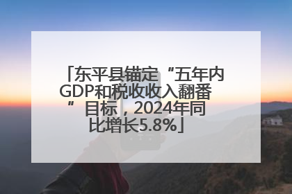 东平县锚定“五年内GDP和税收收入翻番”目标，2024年同比增长5.8%