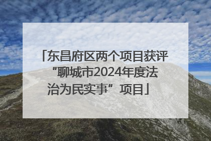 东昌府区两个项目获评“聊城市2024年度法治为民实事”项目