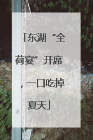 东湖“全荷宴”开席，一口吃掉夏天